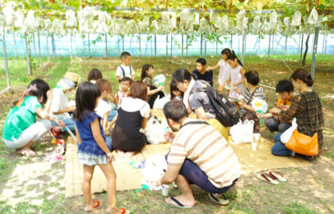 ぶどう狩りのイベントに参加している多くの家族の写真